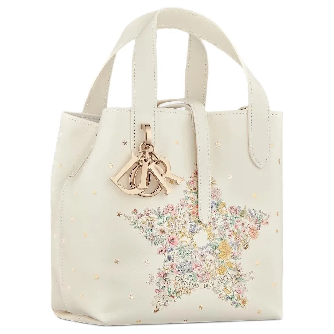 VERTIKALE TOTE-TASCHE DIOR LUCKY DIOR TOUJOURS KLEIN